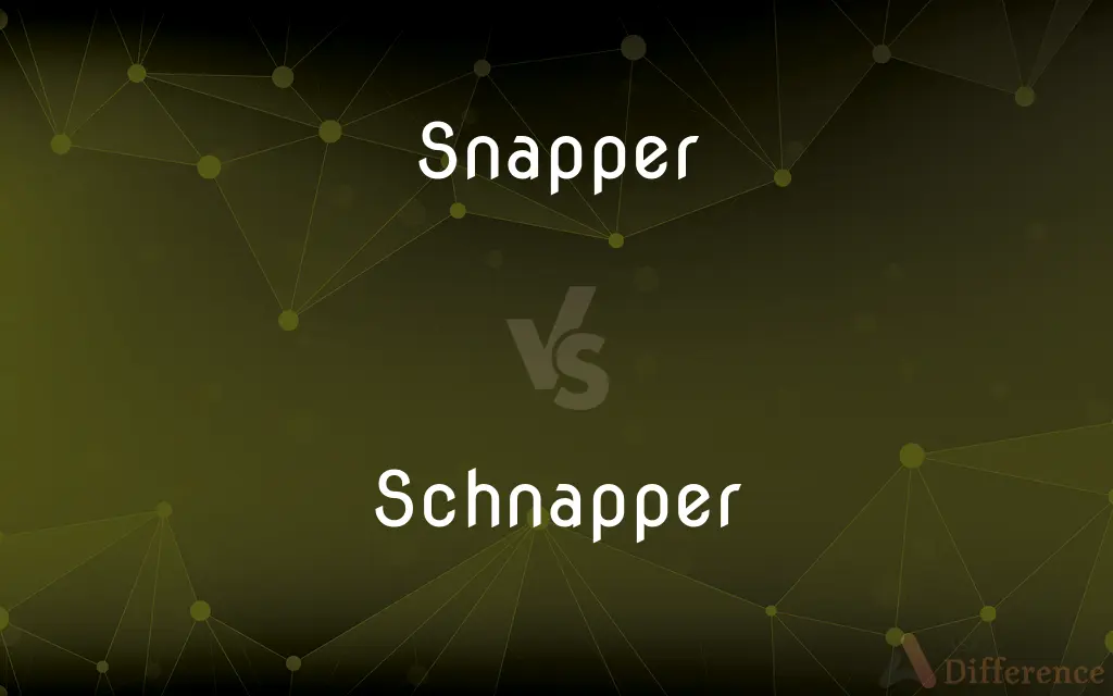 Snapper vs. Schnapper — What's the Difference?