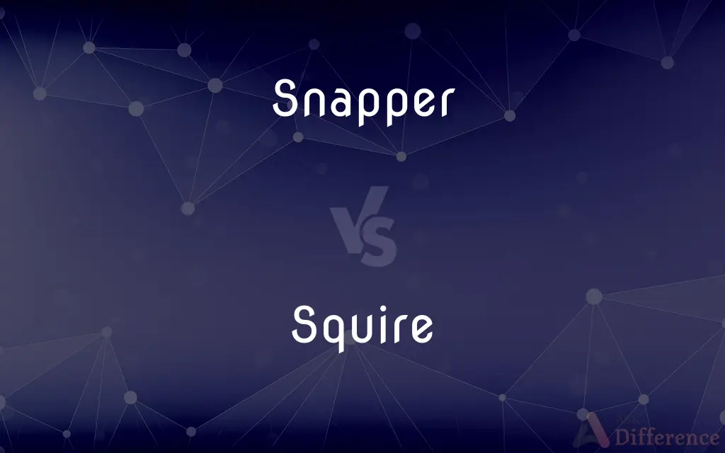Snapper vs. Squire — What's the Difference?