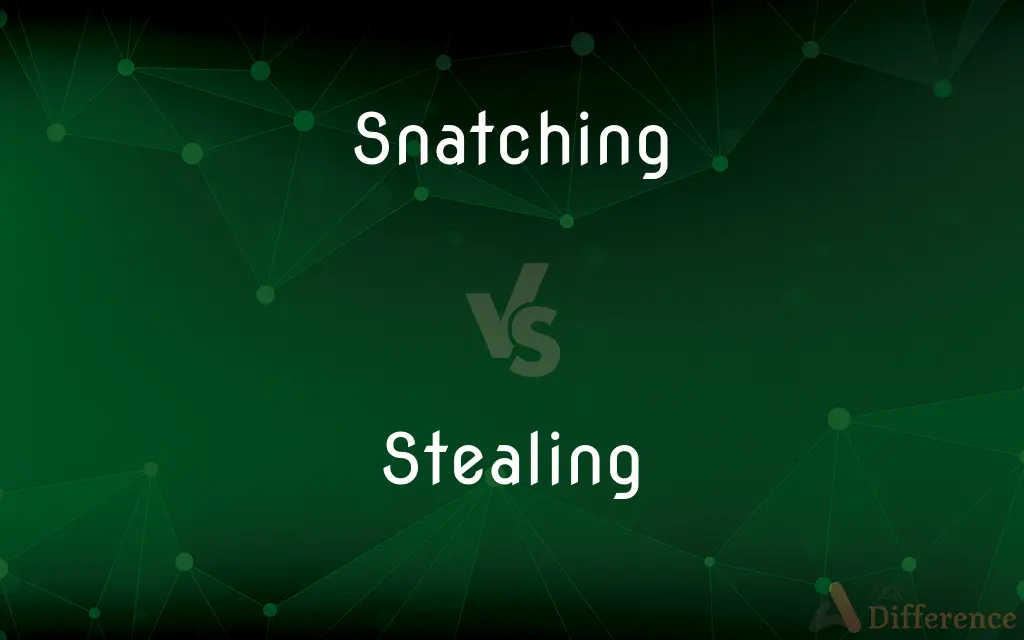 Snatching vs. Stealing — What's the Difference?