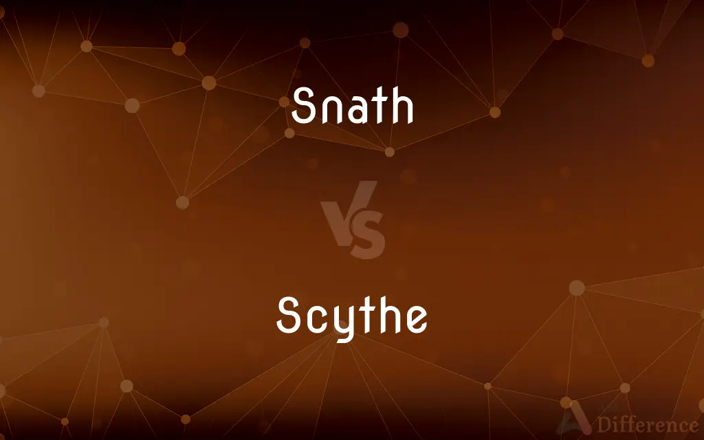 Snath vs. Scythe — What's the Difference?