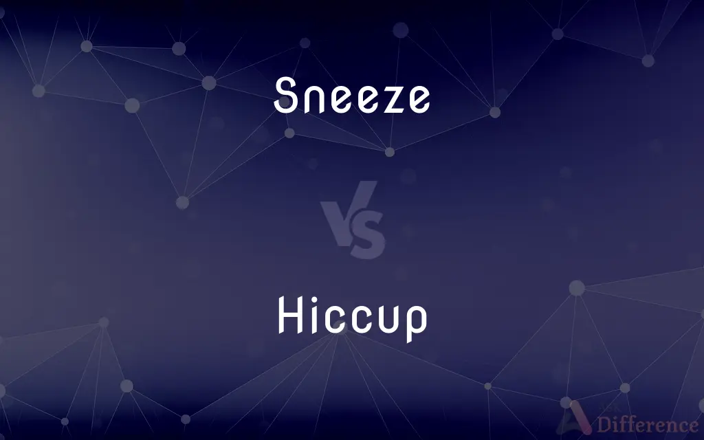 Sneeze vs. Hiccup — What's the Difference?