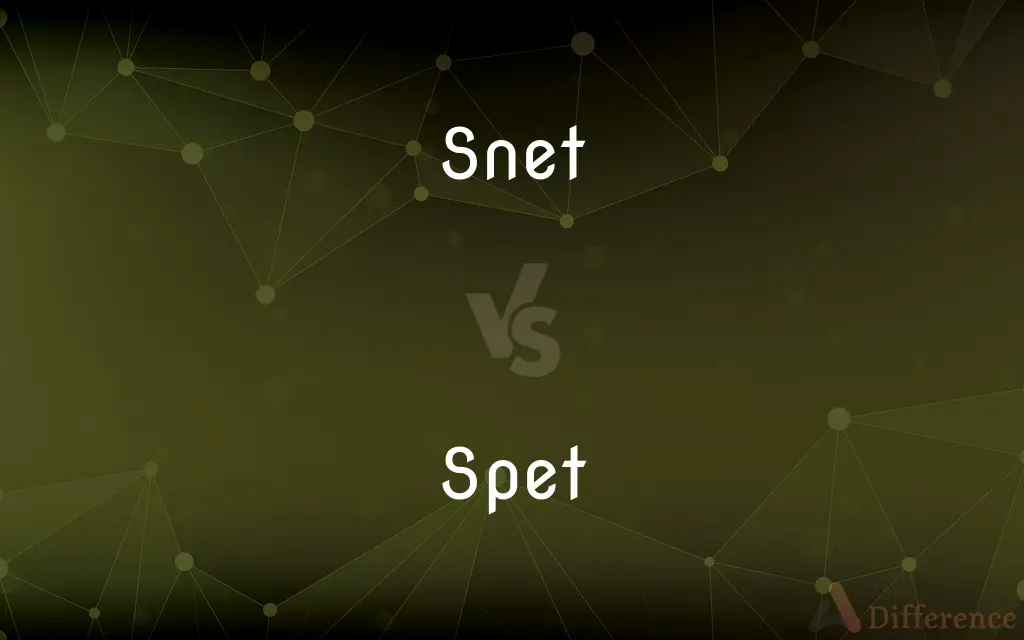 Snet vs. Spet — What's the Difference?