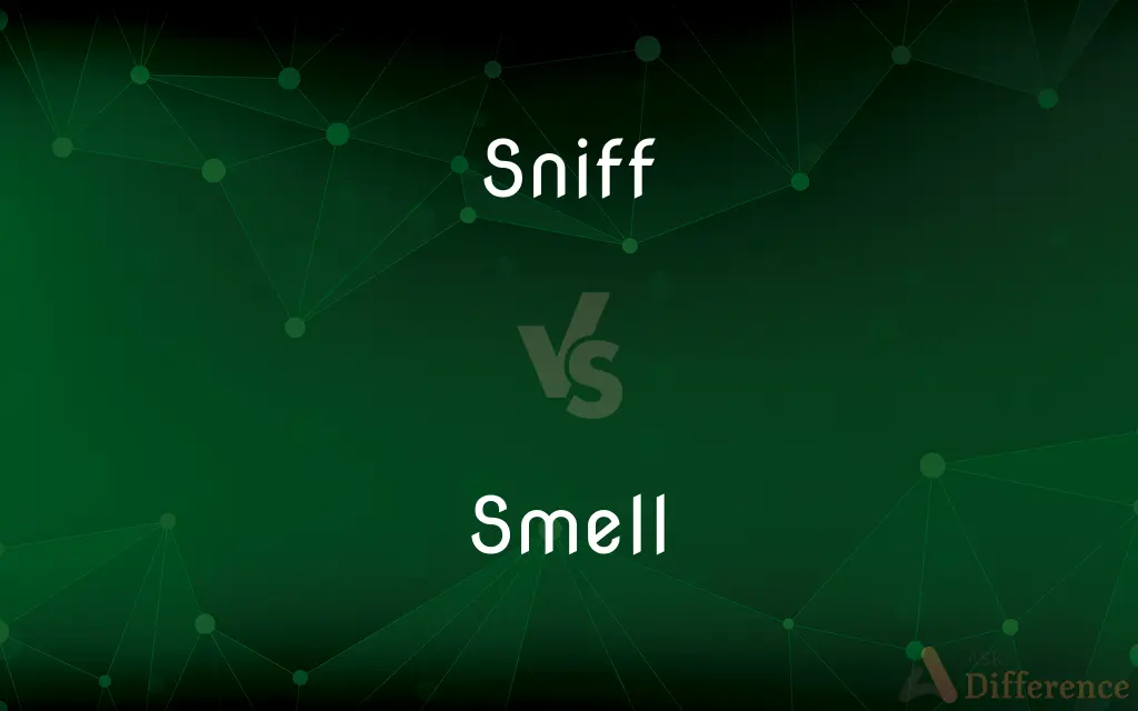 Sniff vs. Smell — What's the Difference?