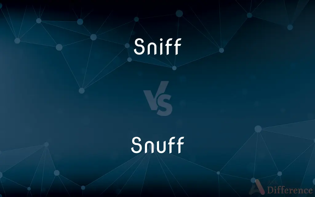 Sniff vs. Snuff — What's the Difference?