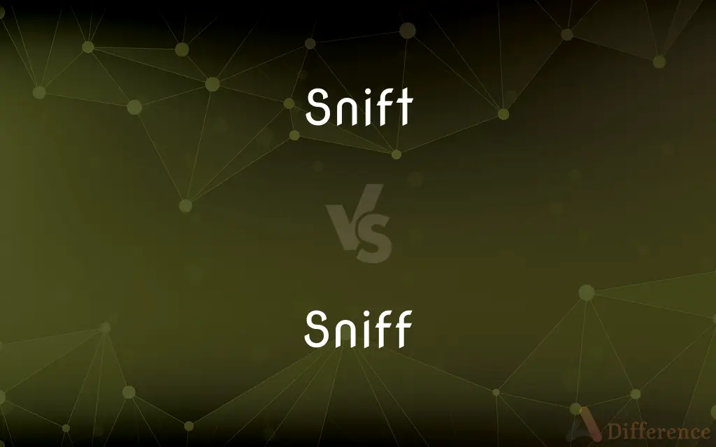 Snift vs. Sniff — What's the Difference?