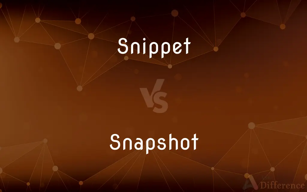 Snippet vs. Snapshot — What's the Difference?