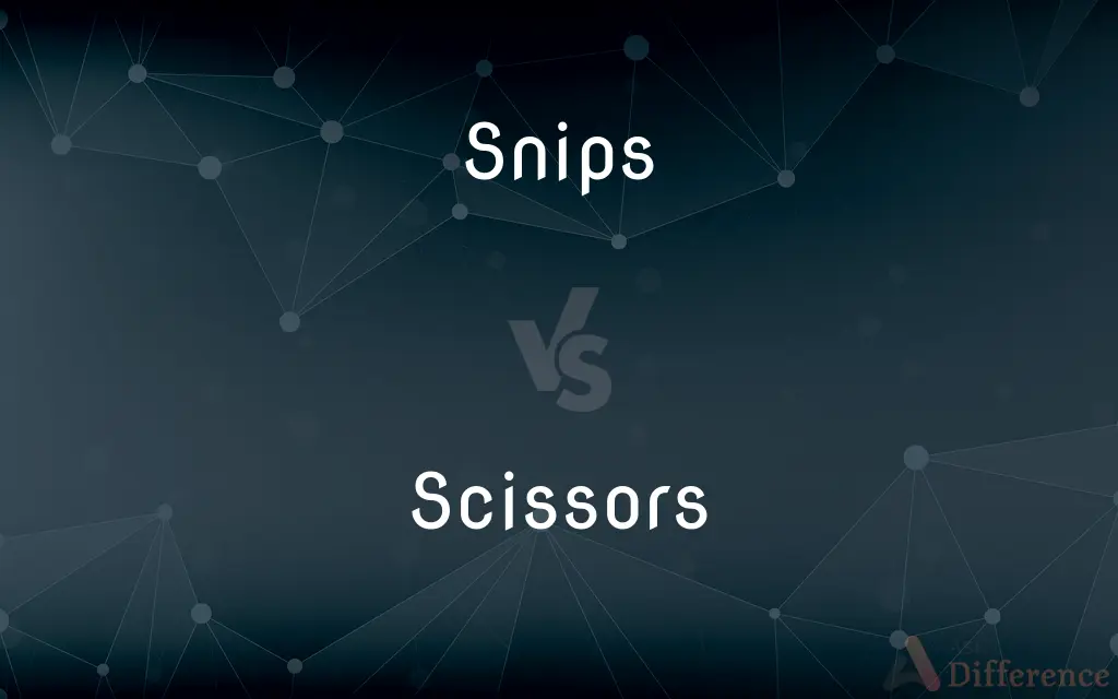Snips vs. Scissors — What's the Difference?