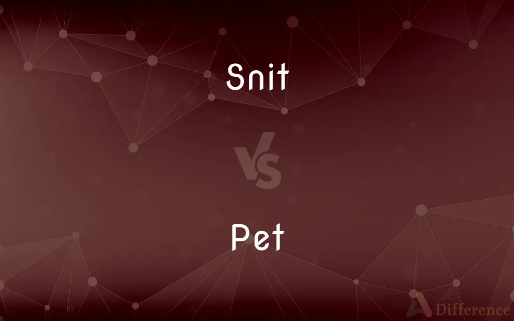 Snit vs. Pet — What's the Difference?