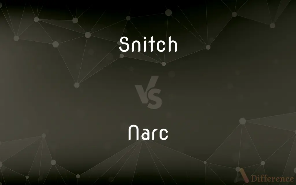Snitch vs. Narc — What's the Difference?