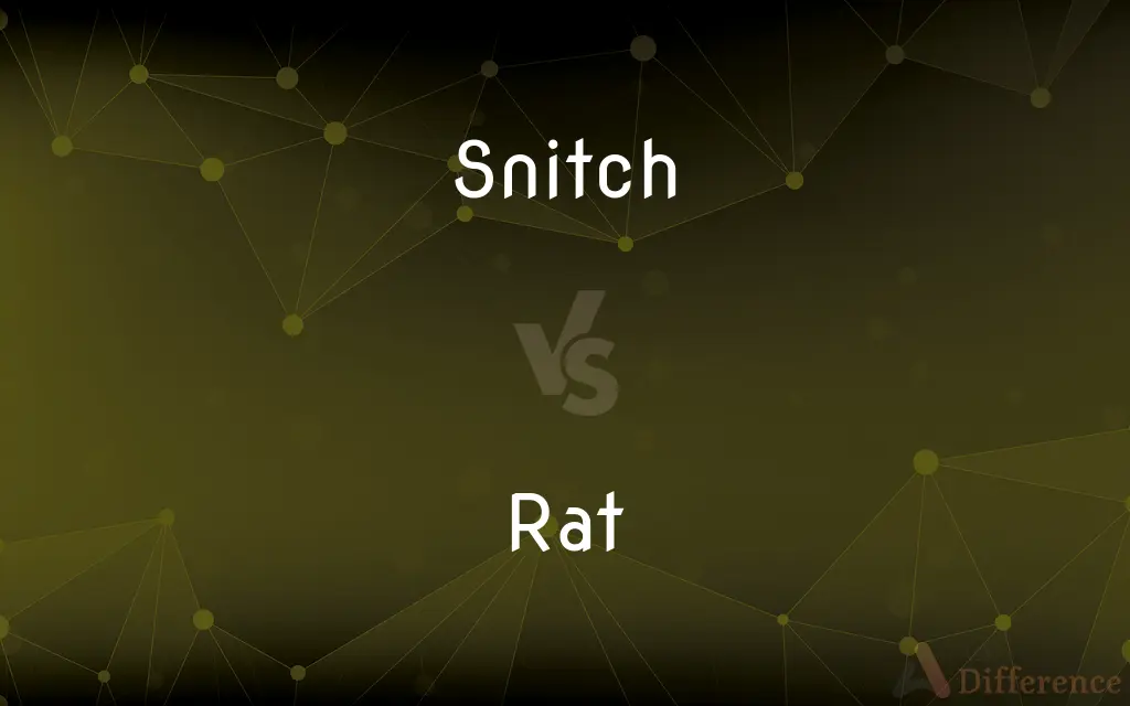 Snitch vs. Rat — What's the Difference?