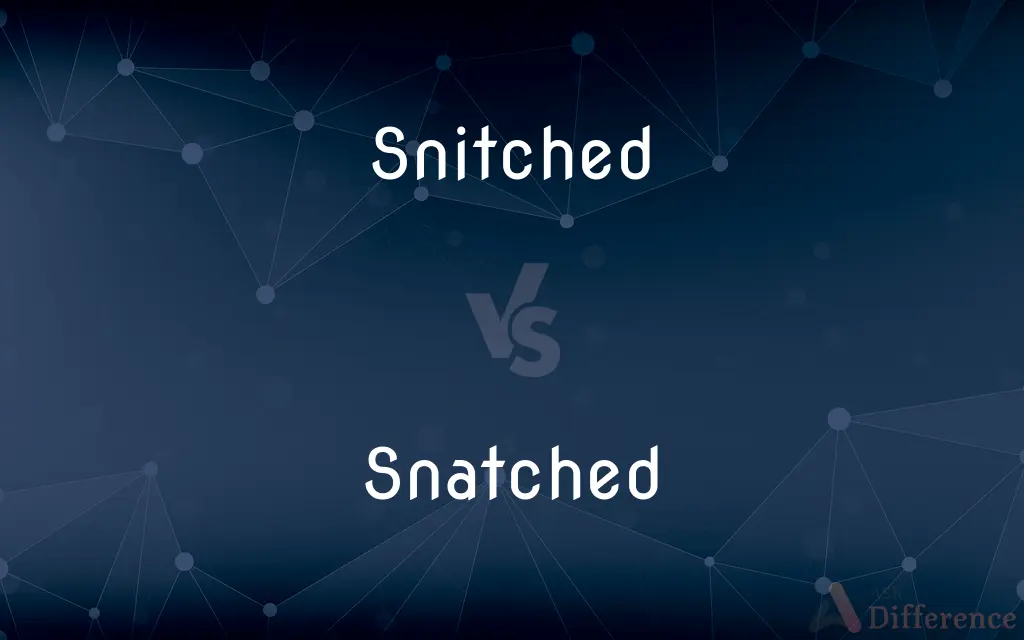 Snitched vs. Snatched — What's the Difference?