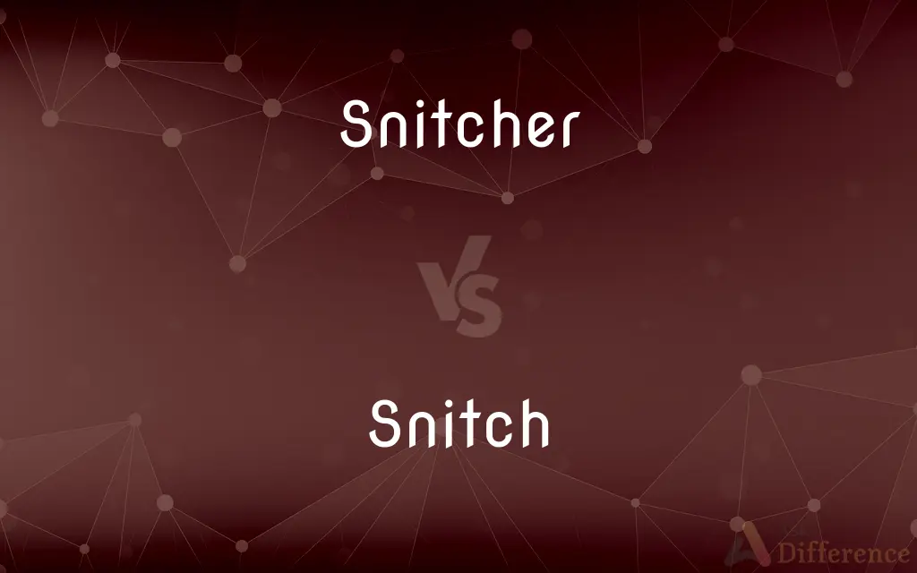Snitcher vs. Snitch — What's the Difference?