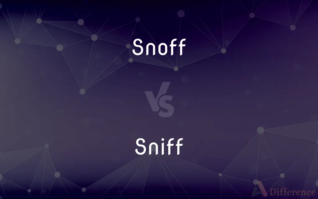 Snoff vs. Sniff — What's the Difference?