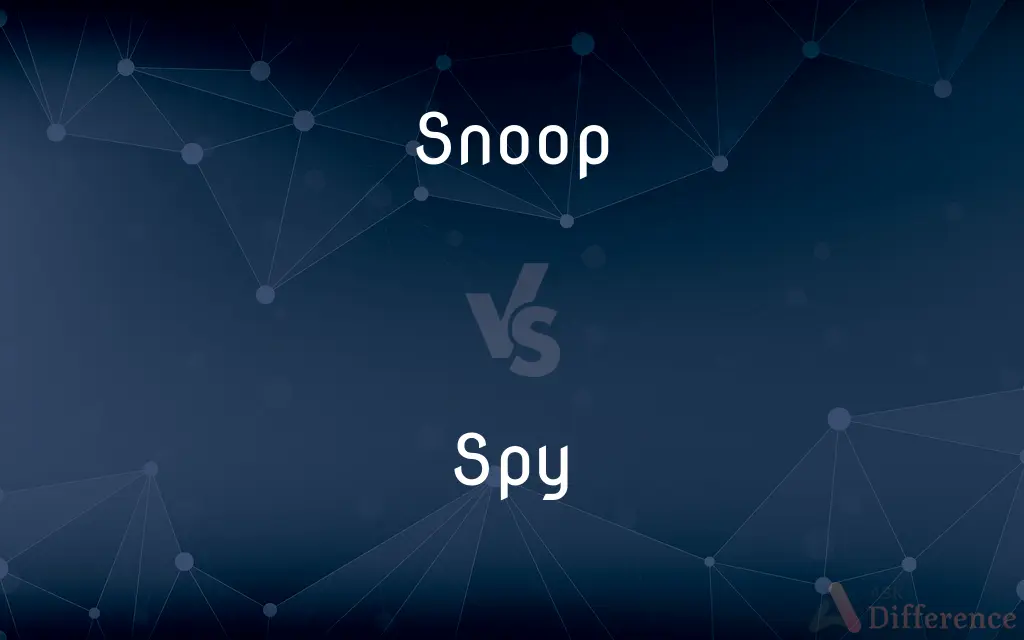 Snoop vs. Spy — What's the Difference?