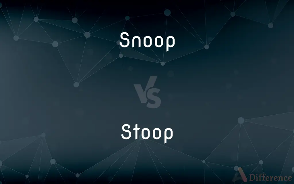Snoop vs. Stoop — What's the Difference?