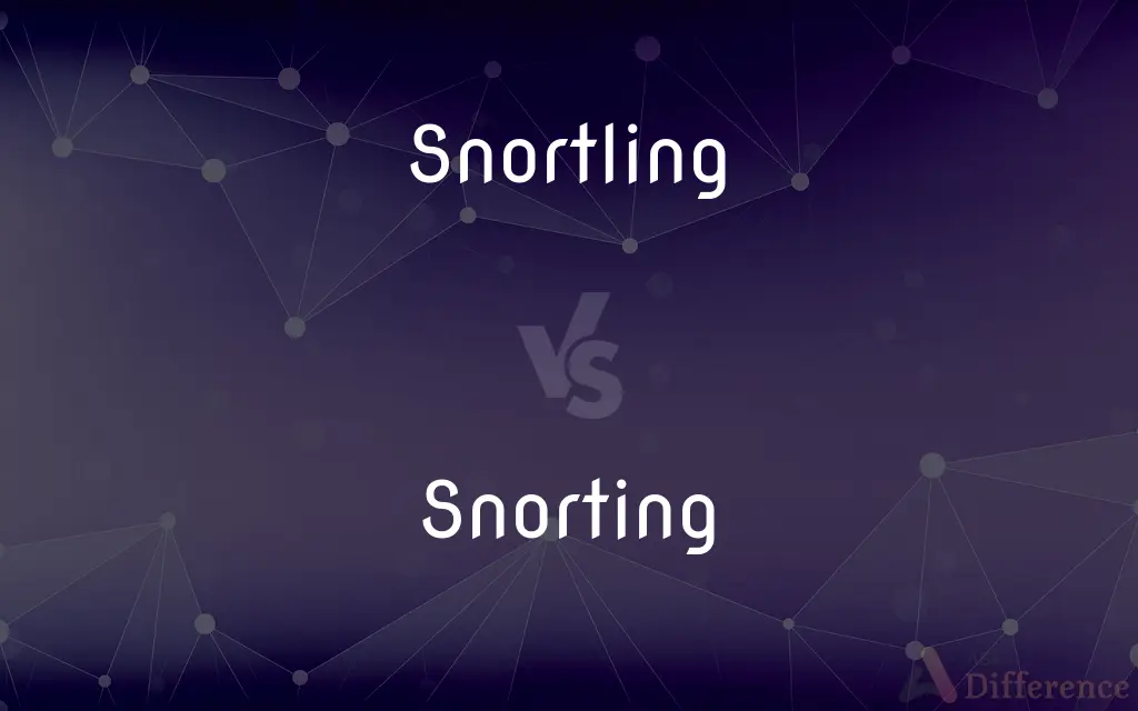 Snortling vs. Snorting — What's the Difference?