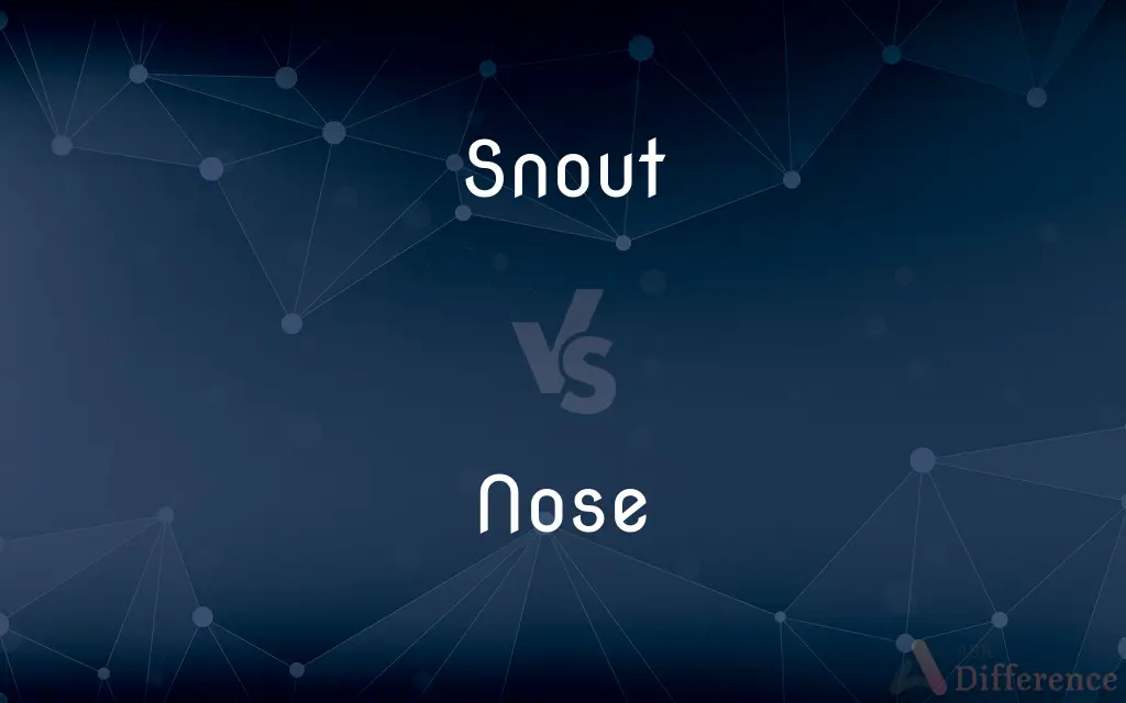 Snout vs. Nose — What's the Difference?