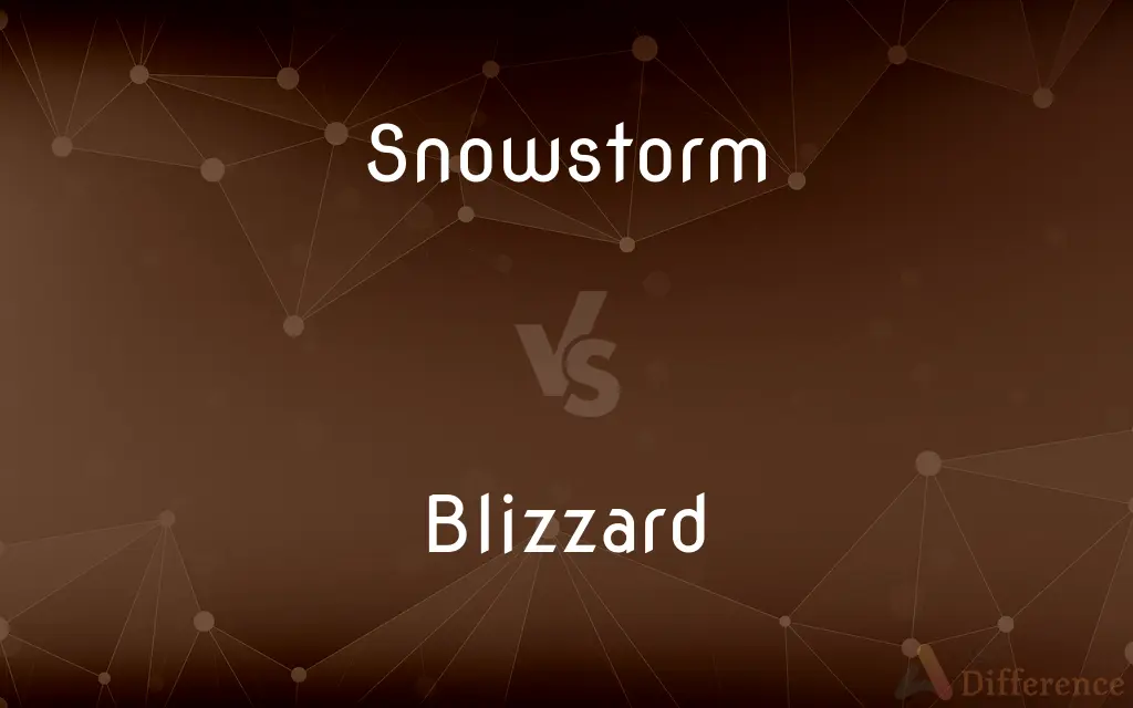 Snowstorm vs. Blizzard — What's the Difference?