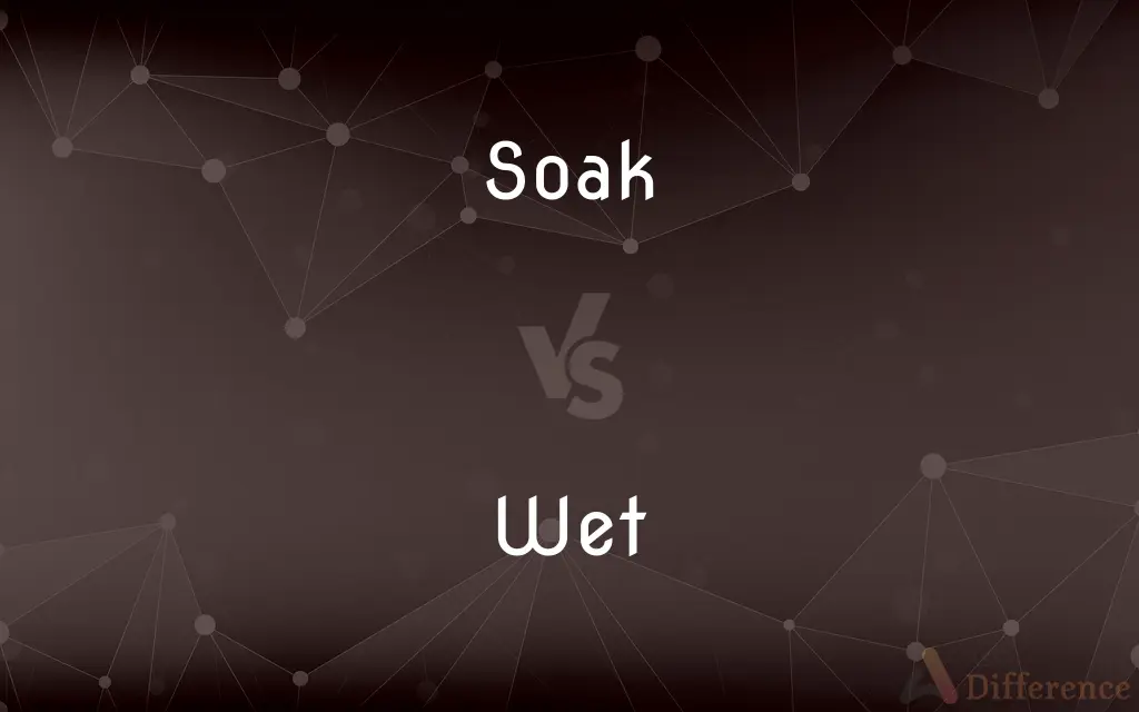 Soak vs. Wet — What's the Difference?