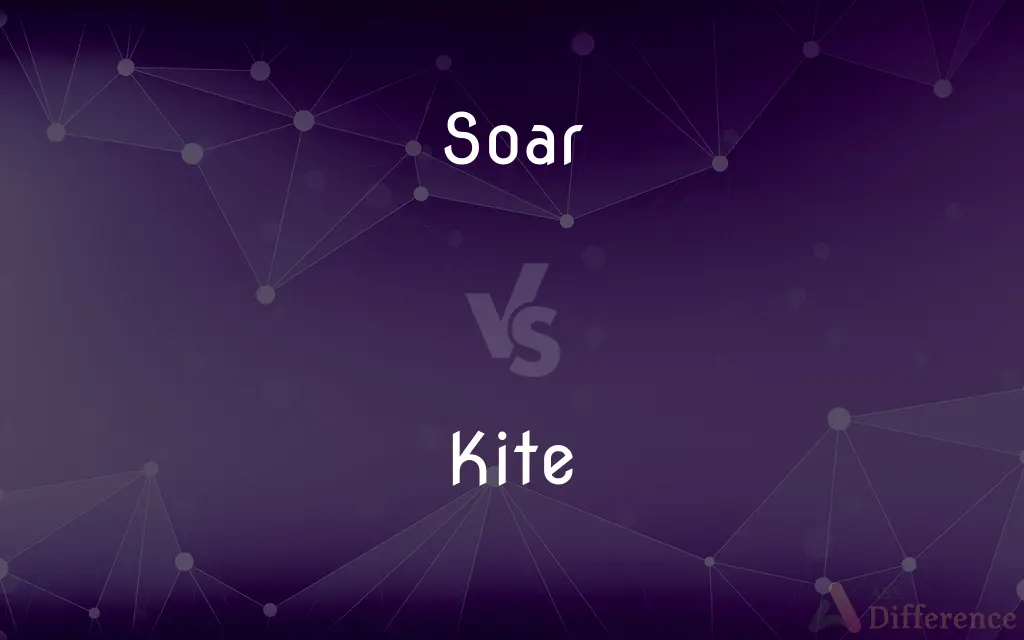 Soar vs. Kite — What's the Difference?