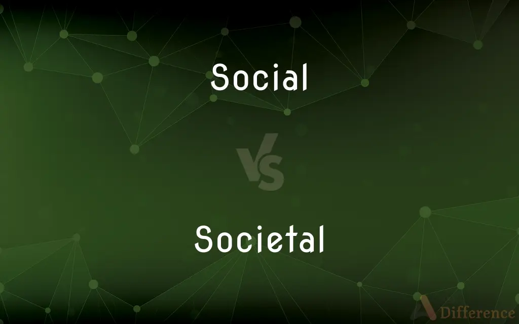 Social vs. Societal — What's the Difference?