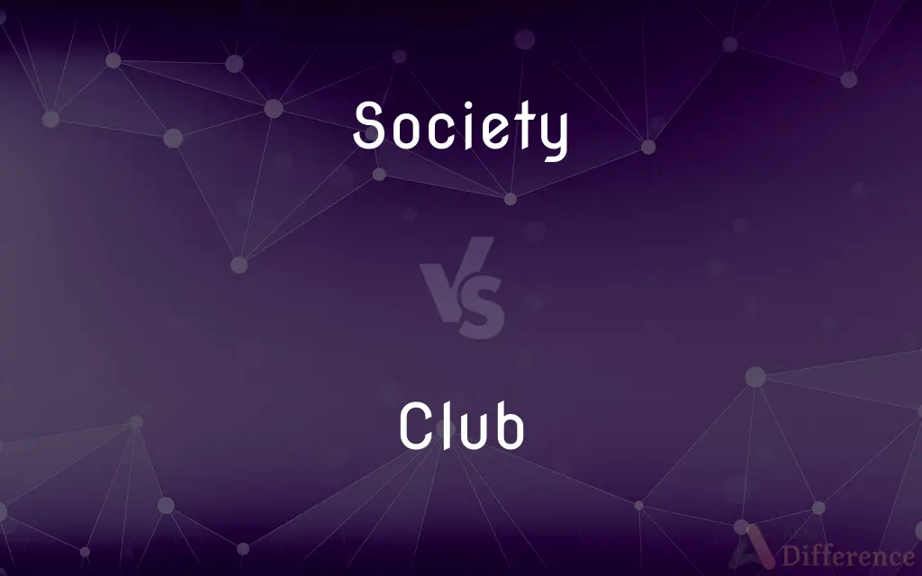 Society vs. Club — What's the Difference?
