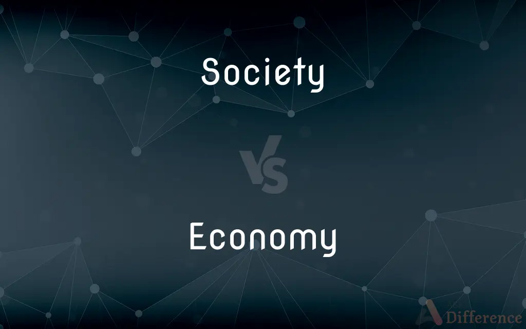 Society vs. Economy — What's the Difference?