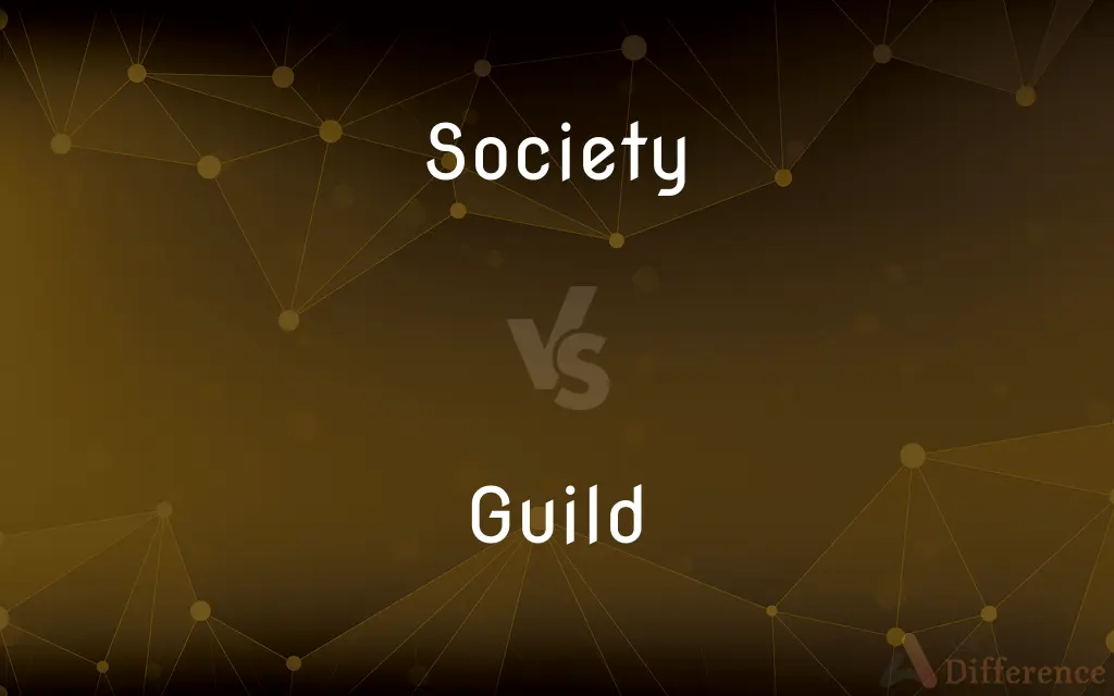 Society vs. Guild — What's the Difference?