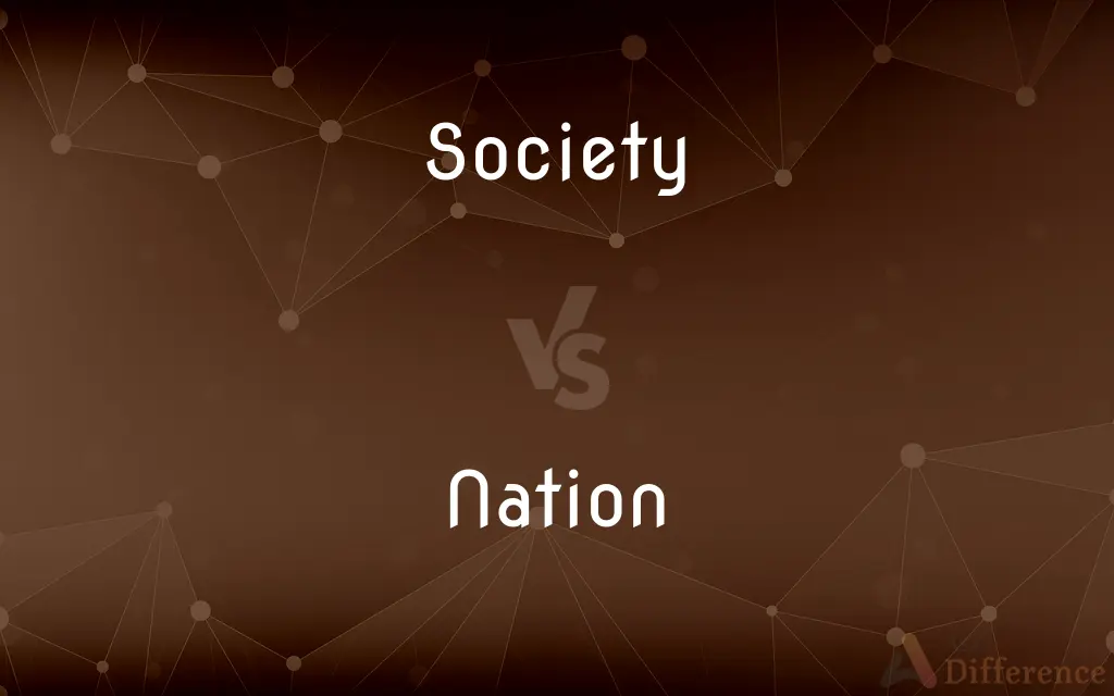 Society vs. Nation — What's the Difference?