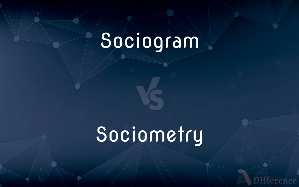 Sociogram vs. Sociometry — What's the Difference?