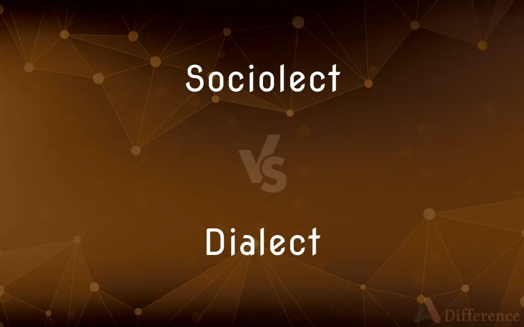 Sociolect vs. Dialect — What's the Difference?