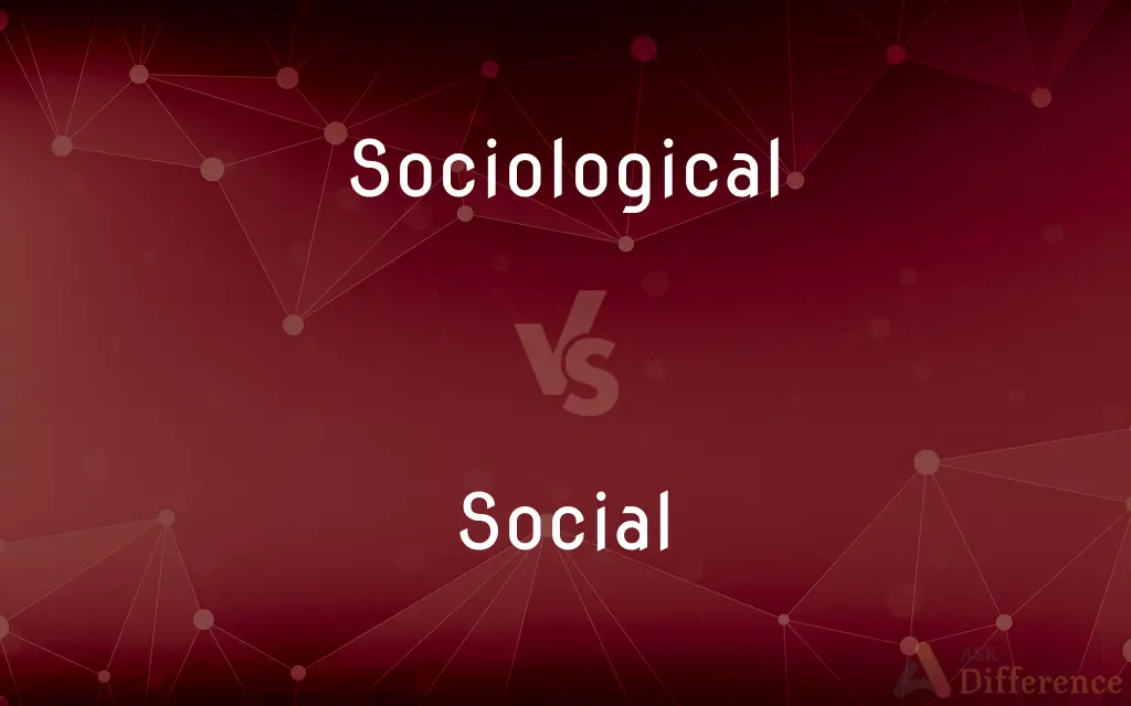Sociological vs. Social — What's the Difference?