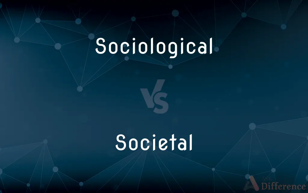 Sociological vs. Societal — What's the Difference?