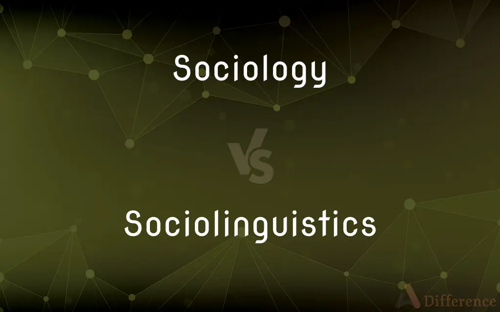 Sociology vs. Sociolinguistics — What's the Difference?