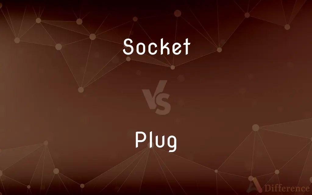 Socket vs. Plug — What's the Difference?