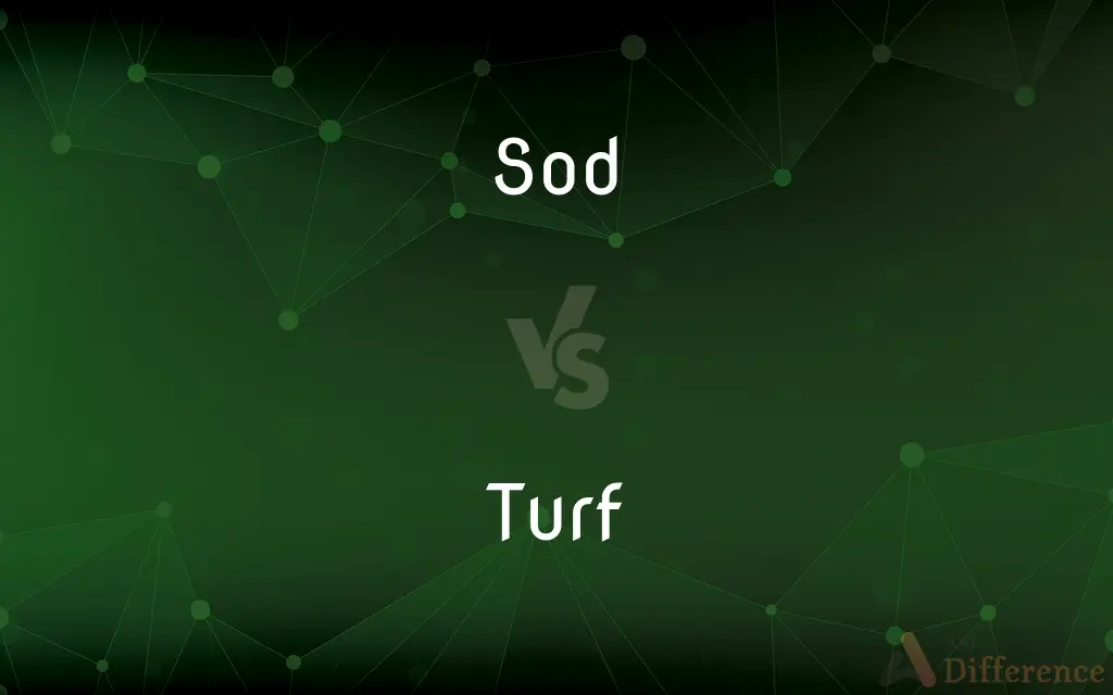 Sod vs. Turf — What's the Difference?