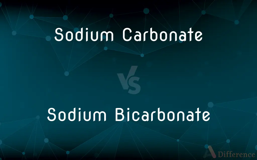 Sodium Carbonate vs. Sodium Bicarbonate — What's the Difference?