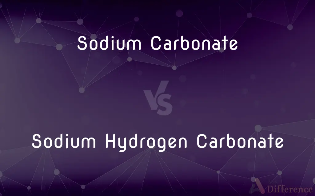 Sodium Carbonate vs. Sodium Hydrogen Carbonate — What's the Difference?