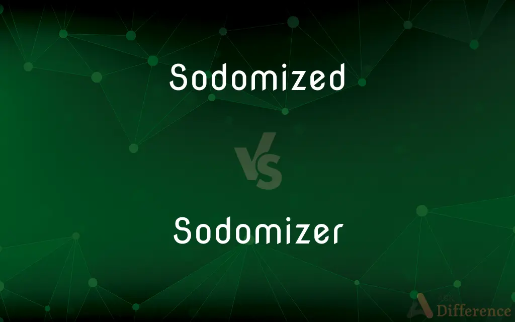 Sodomized vs. Sodomizer — What's the Difference?