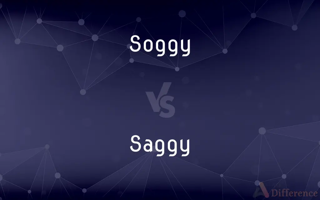 Soggy vs. Saggy — What's the Difference?