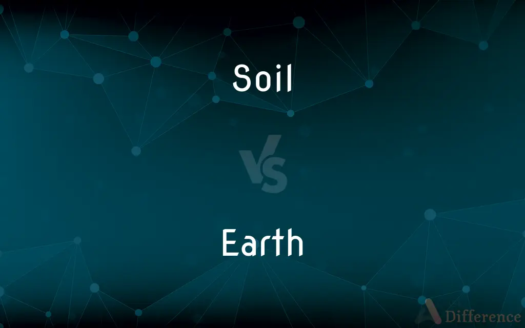 Soil vs. Earth — What's the Difference?
