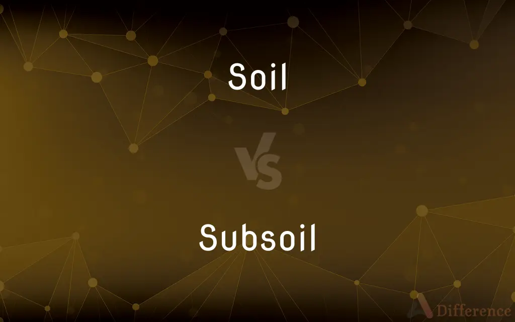 Soil vs. Subsoil — What's the Difference?