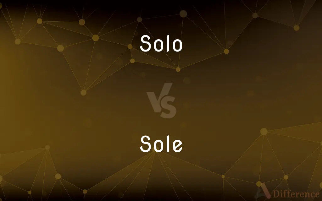 Solo vs. Sole — What's the Difference?