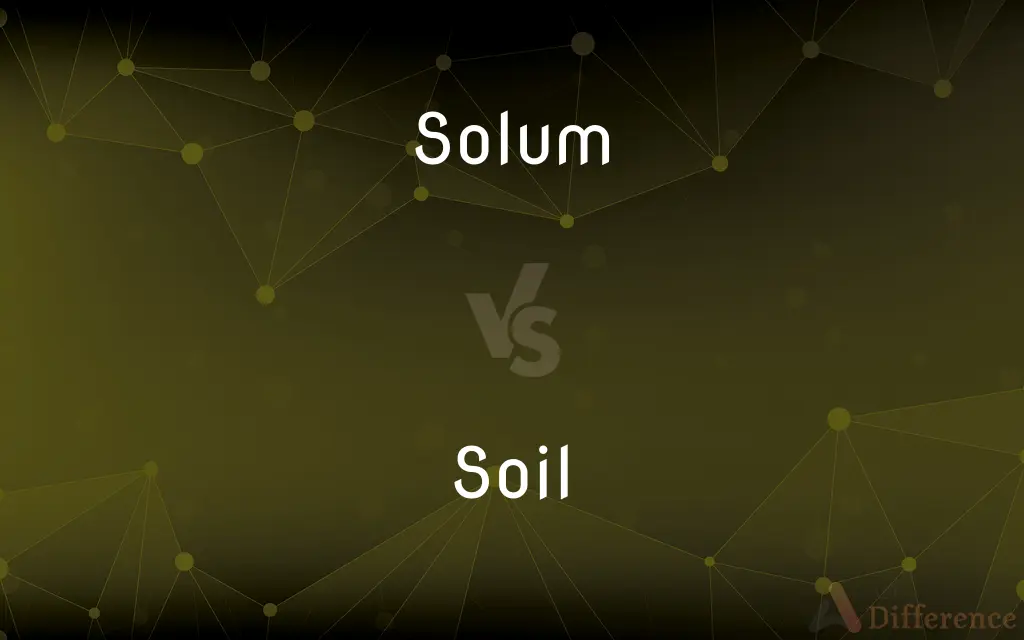 Solum vs. Soil — What's the Difference?