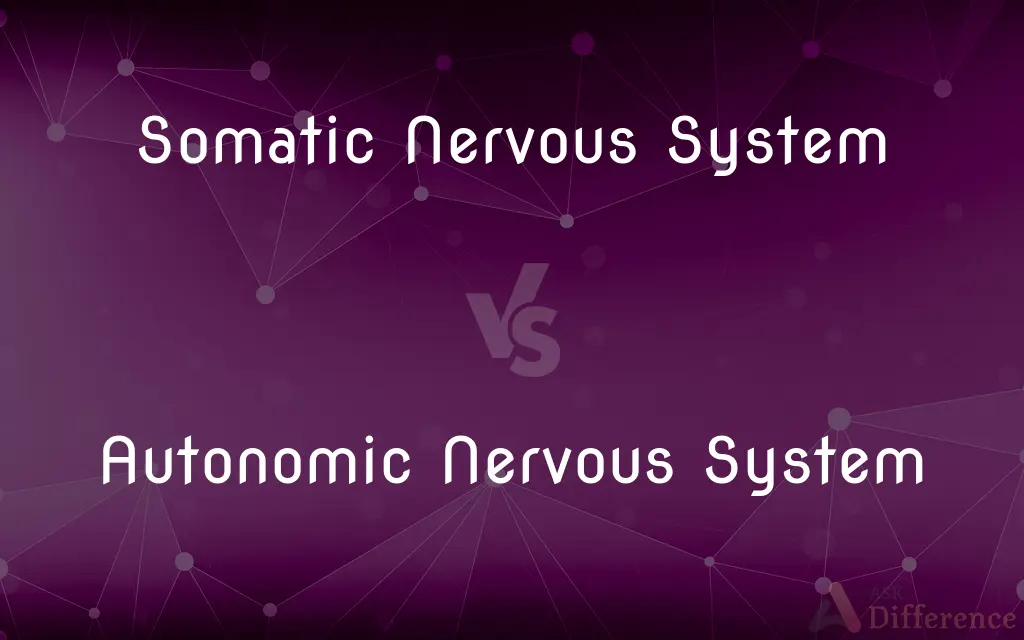 Somatic Nervous System vs. Autonomic Nervous System — What's the Difference?