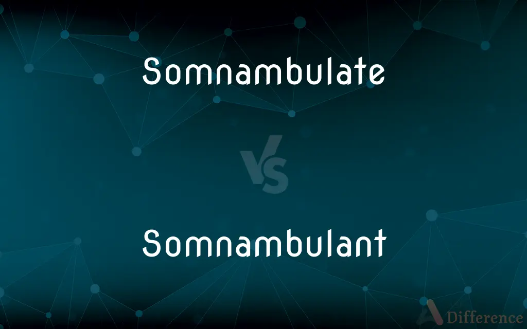 Somnambulate vs. Somnambulant — What's the Difference?