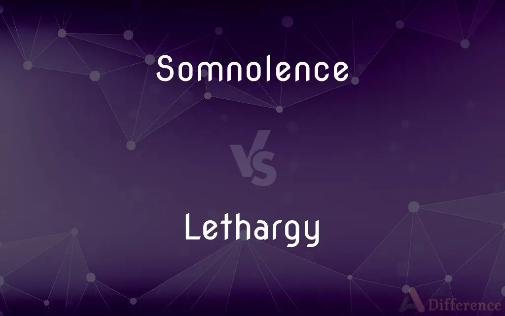 Somnolence vs. Lethargy — What's the Difference?
