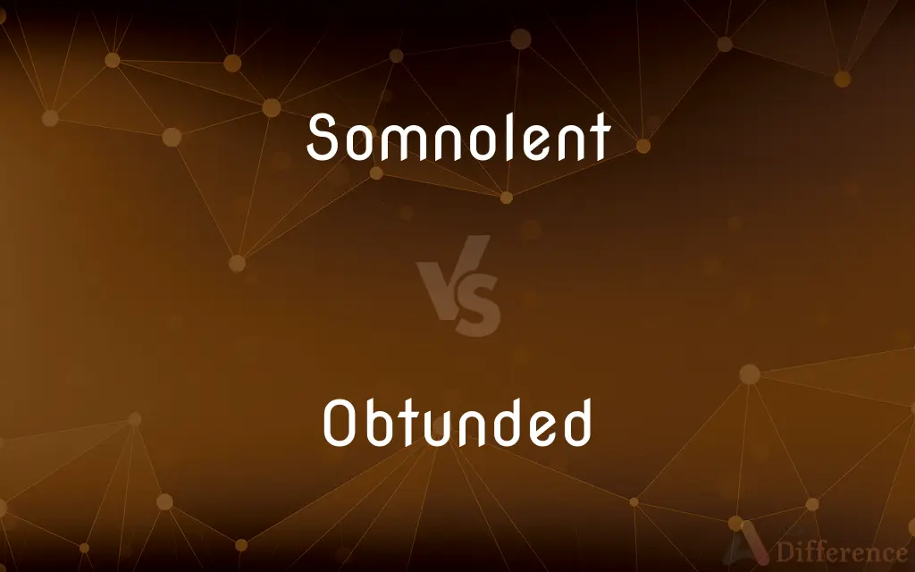 Somnolent vs. Obtunded — What's the Difference?