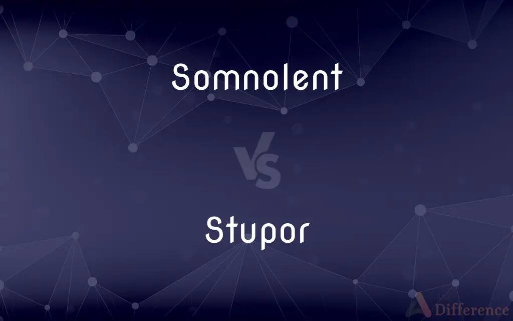 Somnolent vs. Stupor — What's the Difference?