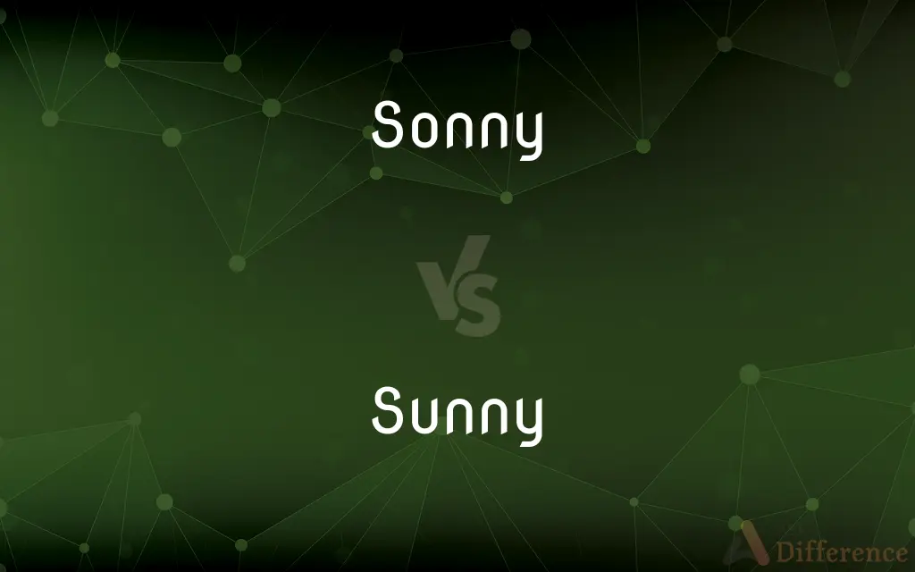 Sonny vs. Sunny — What's the Difference?